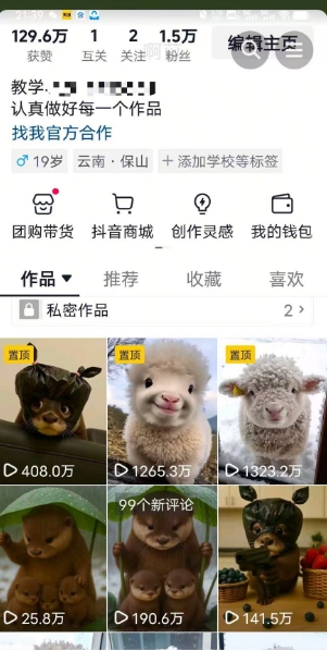 抖音65W博主AI萌宠课程,新赛道流量大,原创+二创,全套课程+提示词