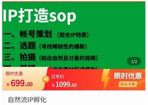 瑶瑶自然流IP孵化系统 - 严选资源大全 - 严选资源大全
