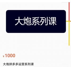 大炮拼多多运营系列课程，各种玩法集合，拼多多运营玩法实操 - 严选资源大全 - 严选资源大全