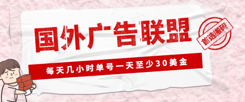 LEAD广告业搬砖项目,单号每天至少30美元详细玩法-严选资源大全