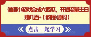 微信游戏合成大西瓜,每天开通流量赚几百【教程+源码】 - 严选资源大全 - 严选资源大全