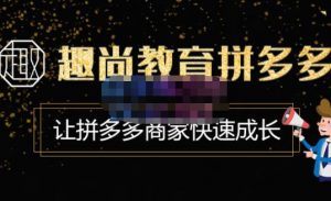 拼多多运营实践课程VIP特殊训练营,价值3180元 - 严选资源大全 - 严选资源大全