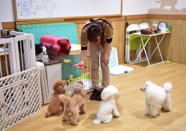 图片[8] - 新年回去可做的小工程项目，生活习惯挣钱！（过节挣钱的小工程项目有什么样呢） - 严选资源大全 - 严选资源大全