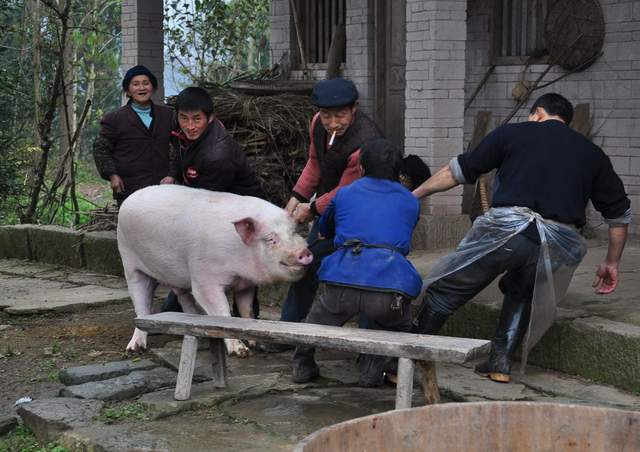 图片[3] - 贫困地区过节前很挣钱的4个工程项目，许多人没错，谁做谁挣钱，别忘了（贫困地区搞甚么最挣钱） - 严选资源大全 - 严选资源大全