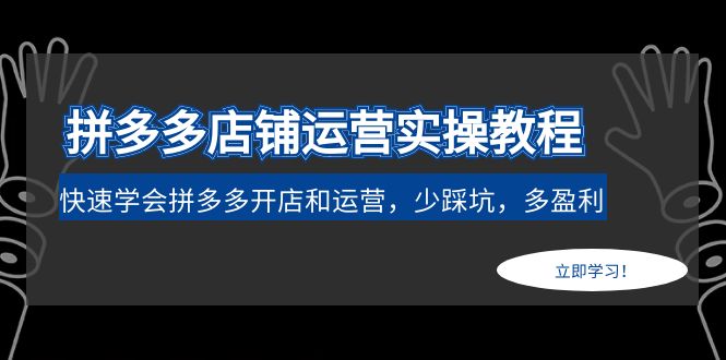 拼多多商家实际经营实例教程：快速学习拼多多开店经营，少踩雷，多盈利 - 严选资源大全 - 严选资源大全