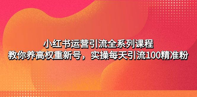 小红书操作引流方法全系列课程:教大家养高权重小号，实际操作每日引流方法100精准粉末-严选资源大全