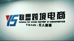 Tiktok无人直播，跨境电商小视频躺着赚钱游戏玩法，不出境，不拍视频剪辑，不拍照，不发货，不售后 - 严选资源大全 - 严选资源大全