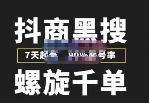 猎人连盟店商黑搜打法，螺旋式百单，7天初期起号，90%初期起号率，100%挣钱。 - 严选资源大全 - 严选资源大全