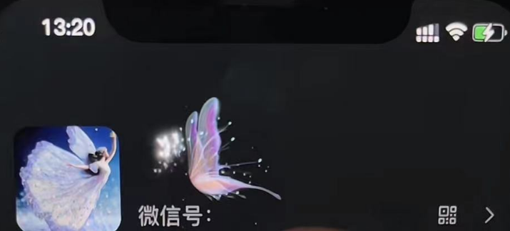 微信动态昵称设置方法,可抖音直播引流,日赚上百【详细视频教程 素材】 微信动态昵称设置方法,可抖音直播引流,日赚上百【详细视频教程 素材】