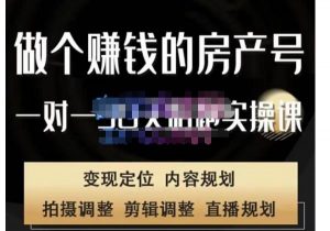 赚钱项目租房号网络上陪跑班、拍摄、视频编辑、编辑文案、直播房间，打造具有发展潜力的房产号网络上陪跑班， - 严选资源大全 - 严选资源大全