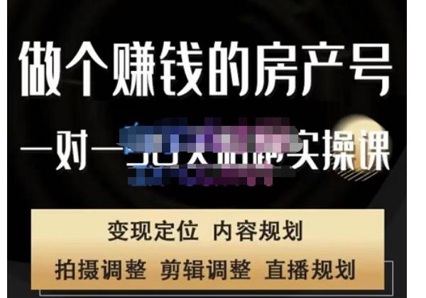 赚钱项目租房号网络上陪跑班、拍摄、视频编辑、编辑文案、直播房间，打造具有发展潜力的房产号网络上陪跑班， - 严选资源大全 - 严选资源大全