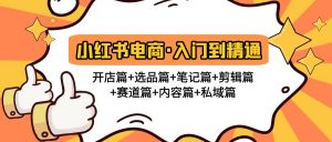 小红书电子商务入门到精通开实体店选择手段视频剪辑跑道具体内容篇章公域篇章 - 严选资源大全 - 严选资源大全