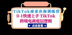 TikTok商户启航特训营：0-1快速入门TikTok跨境电子商务底层思维 - 严选资源大全 - 严选资源大全