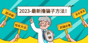 全新褥羊毛骗子方式日入200+【16个找车方式+发班方式】短视频+文本文档(2月3日更新) - 严选资源大全 - 严选资源大全