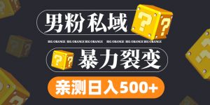 粉丝公域新项目:亲自测试粉丝裂变式日收入5000(视频教学) - 严选资源大全 - 严选资源大全