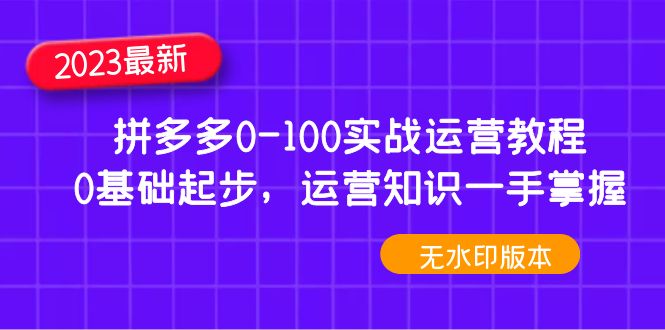 2023年拼多多商家0-100实战演练使用基础教程，0基础性发展，尽在掌握使用常识(无水印)-严选资源大全