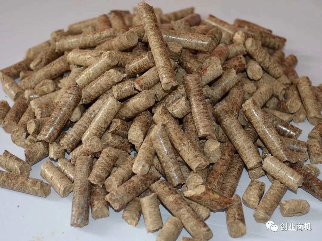 图片[3]-投资小，适合夫妻2人干，一天也能搞个1000多，收入比打工高。-阿灿说钱