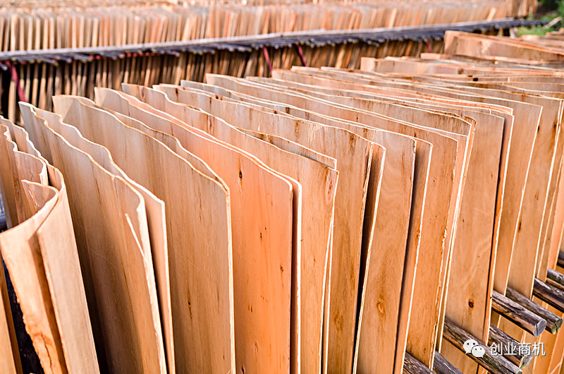 图片[1]-投资小，适合夫妻2人干，一天也能搞个1000多，收入比打工高。-阿灿说钱