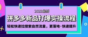 拼多多平台-新产品穿越实际操作步骤:轻松快速拉动自然搜索流量,更落地式,快速升级! - 严选资源大全 - 严选资源大全
