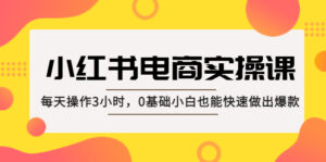 小红书·电子商务实践课：每天实际操作3小时，0基本小白可以快速制作爆款产品！ - 严选资源大全 - 严选资源大全