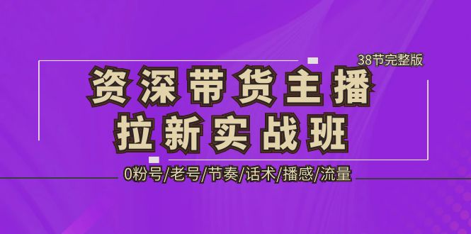 优秀销售主播排水实战演练班，0粉/旧/节奏/销售演讲/广播/总流量-38节完整-严选资源大全