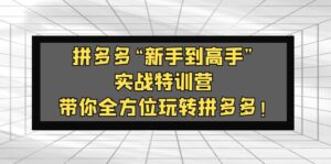 拼多多平台“初学者到大神”实战演练夏令营：陪您多方位轻松玩拼多多平台！ - 严选资源大全 - 严选资源大全