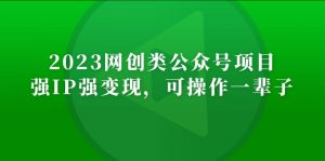 2023年网创微信微信官方账号月收入突破万个新项目，强IP强转现，易操作一辈子 - 严选资源大全 - 严选资源大全
