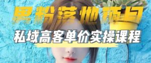 【粉丝落地项目】0基本上很容易玩粉丝小视频到公域日产502023粉丝高客户单价实际操作 - 严选资源大全 - 严选资源大全