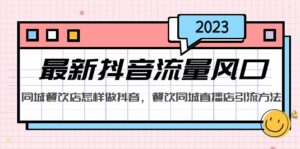 2023年全新短视频流量出风口,同城网餐厅如何做抖音,同城视频店推广方法 - 严选资源大全 - 严选资源大全