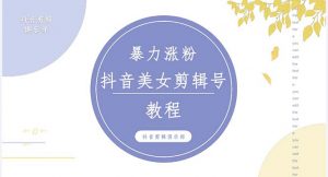 抖音和快手暴力增粉美女混剪视频教程100%,原创图片实例教程附加非法投诉方式 - 严选资源大全 - 严选资源大全