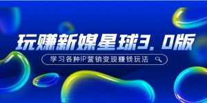 《玩新媒体星球3.0版》学习各种IP营销推广转现赚钱游戏玩法(使用价值498) - 严选资源大全 - 严选资源大全