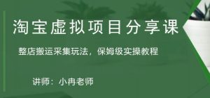 淘宝虚拟单店运输收集游戏玩法共享课:单店运输收集游戏玩法，家庭保姆级实际操作实例教程 - 严选资源大全 - 严选资源大全
