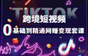 跨境电商小视频TIKTOK0基本上都是熟练的网络赚钱转现套课,跨境电商小视频自建站卖货转现方法 - 严选资源大全 - 严选资源大全