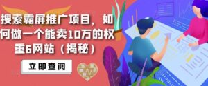 搜索霸屏推广新项目,如何做一个能卖10万权重6网站(揭密) - 严选资源大全 - 严选资源大全