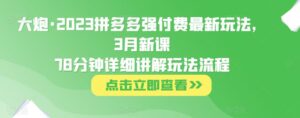 火炮·2023拼多多平台强付全新游戏玩法，3月新教78分钟详细讲解游戏玩法步骤 - 严选资源大全 - 严选资源大全