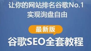 谷歌SEO实践演练实例教程:如何让自己的网站在谷歌排名第一，具体内容从入门到高级，适合自己和团队 - 严选资源大全 - 严选资源大全