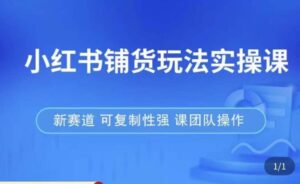 小红书购买游戏玩法实践课,流量大,市场竞争小,容易做,新生态,复制性强,可以实际操作精英团队 - 严选资源大全 - 严选资源大全