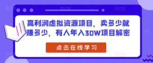 高收益虚拟资源项目，卖多少钱就赚多少钱，有的人年收入30W新项目破译 - 严选资源大全 - 严选资源大全