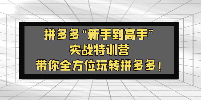 拼多多“新手到高手”实战特训营:带你全方位玩转拼多多! 拼多多“新手到高手”实战特训营:带你全方位玩转拼多多!