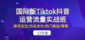 国际版Tiktok抖音运营流量实战班:账号定位/作品发布/热门推送/等等-13节 - 严选资源大全 - 严选资源大全