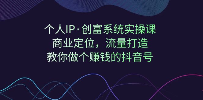 个人IP·创富系统实操课：商业定位，流量打造，教你做个赚钱的抖音号 - 严选资源大全 - 严选资源大全