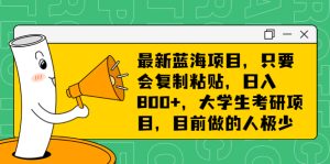 最新蓝海项目,只要会复制粘贴,日入800+,大学生考研项目,目前做的人极少 - 严选资源大全 - 严选资源大全