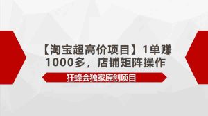 (9849期)【淘宝超高价项目】1单赚1000多,店铺矩阵操作 - 严选资源大全 - 严选资源大全