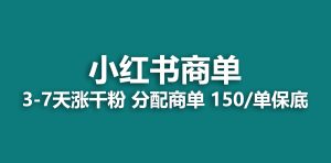 2023最强蓝海项目,小红书商单项目,没有之一! - 严选资源大全 - 严选资源大全