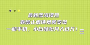 最新蓝海项目,靠禁止废话视频变现,一部手机,小白轻松月入过万! - 严选资源大全 - 严选资源大全