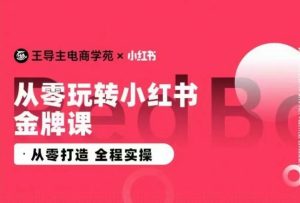 王导主·小红书电商运营实操课,从零打造  全程实操 - 严选资源大全 - 严选资源大全