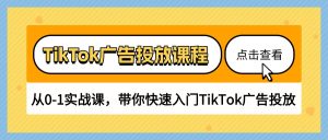 TikTok广告投放课程,从0-1实战课,带你快速入门TikTok广告投放(30节课) - 严选资源大全 - 严选资源大全