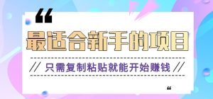 2024最适合新手操作的项目，新手小白只需复制粘贴就能开始赚钱【视频教程+软件】 - 严选资源大全 - 严选资源大全
