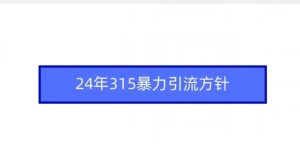 24年315暴力引流方针 - 严选资源大全 - 严选资源大全