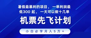 2024最新项目,冷门暴利,整个暑假都是高爆发期,一单利润300+,二十… - 严选资源大全 - 严选资源大全